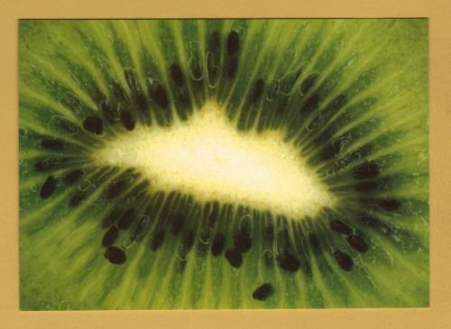 `Kiwi Fruit` - Postally Unused - Boomerang Media Postcard.